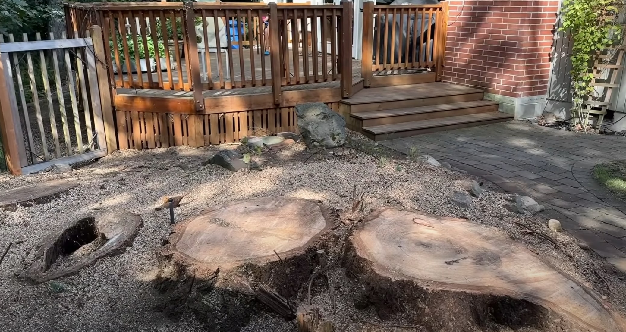 Tree stumps requiring removal in residential backyard in Wyoming, MI