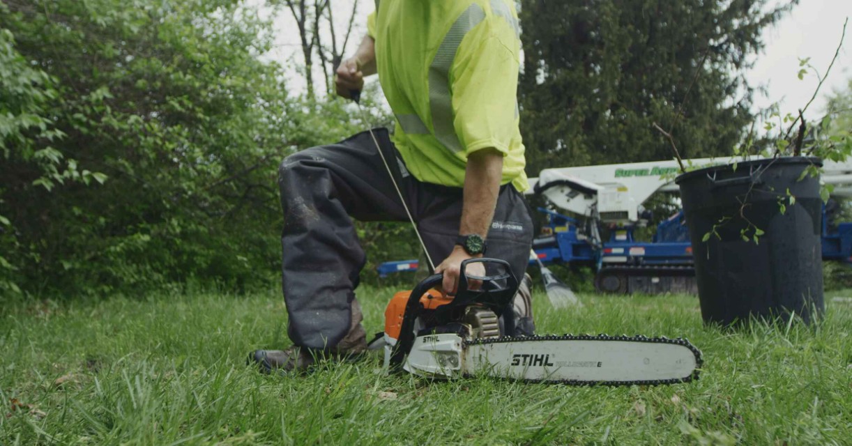 Professional tree service equipment and safety gear for tree removal in Wyoming, MI