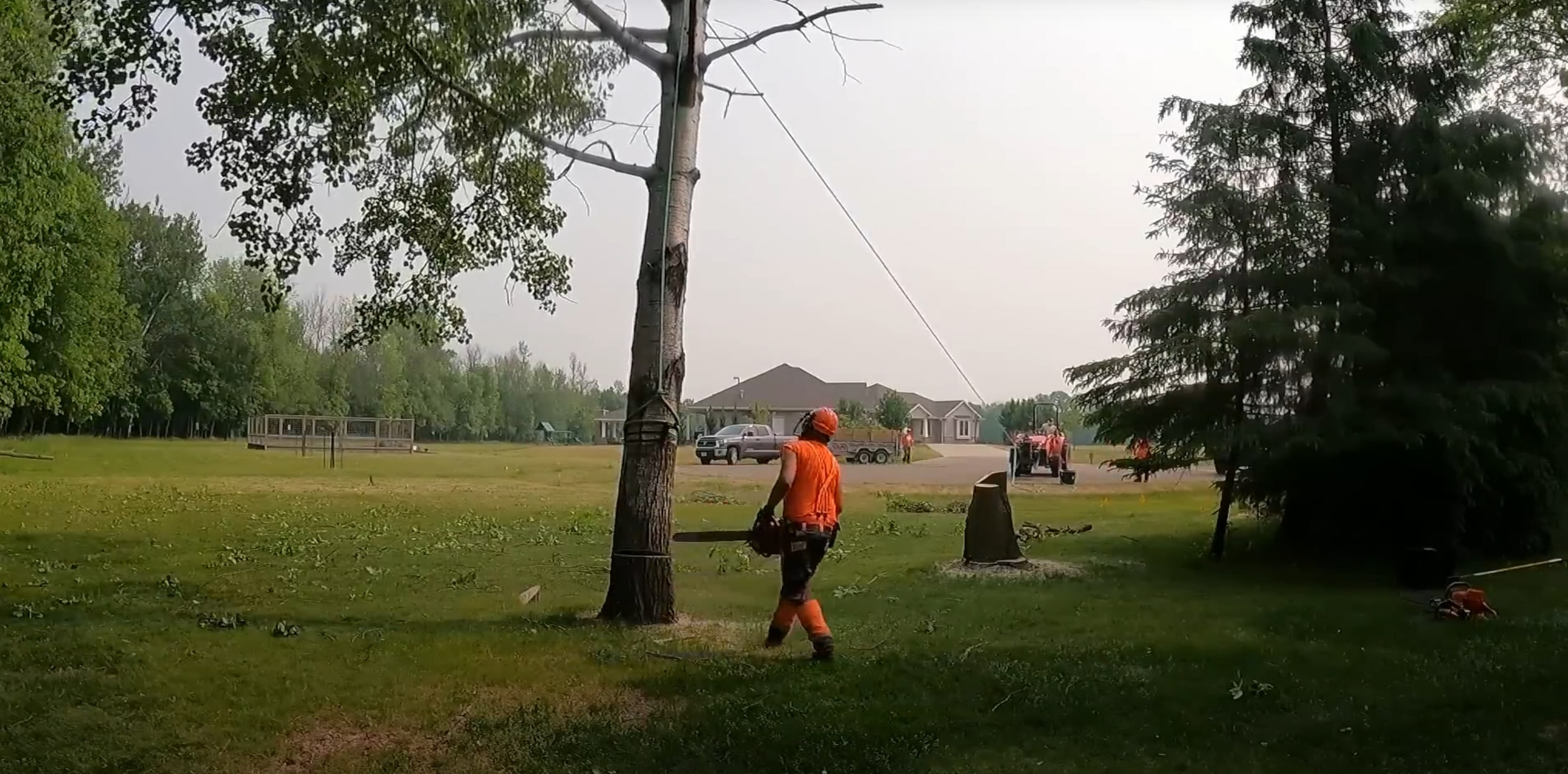 Professional arborist assessing a hazardous tree for removal in Wyoming, MI